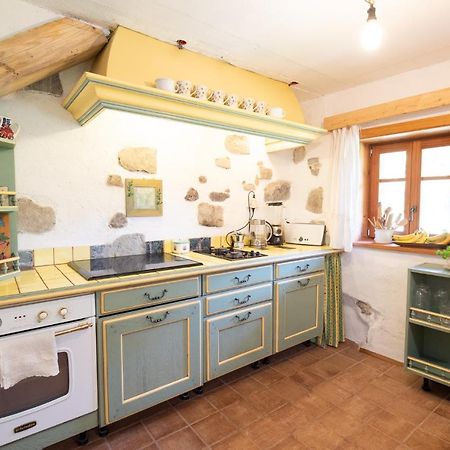 Wild Flower Cottage In トレンタ エクステリア 写真
