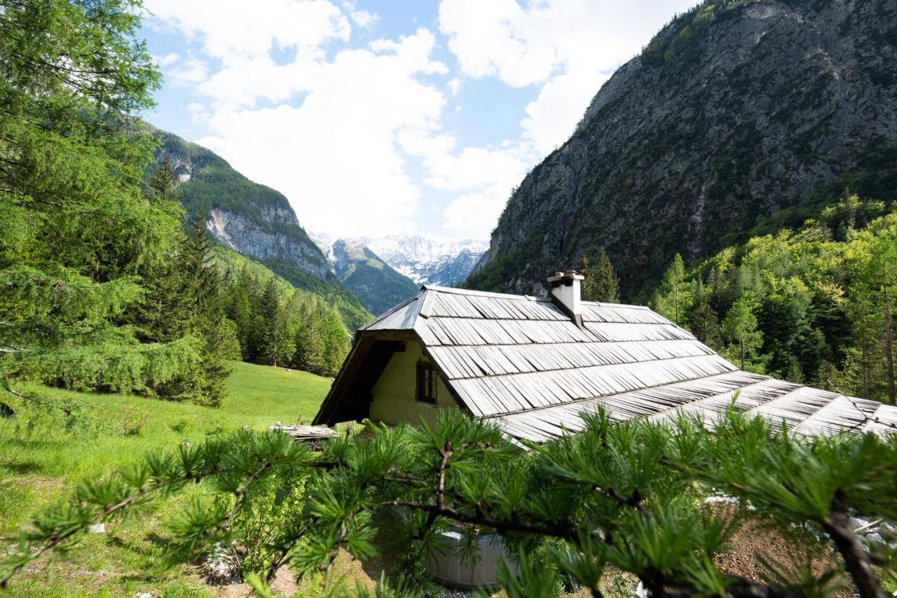 Wild Flower Cottage In トレンタ エクステリア 写真