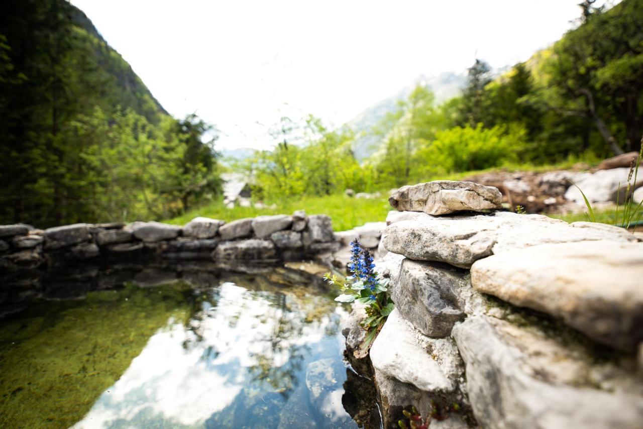 Wild Flower Cottage In トレンタ エクステリア 写真
